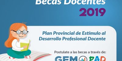 Plan provincial de estímulo para el desarrollo profesional docente 2019