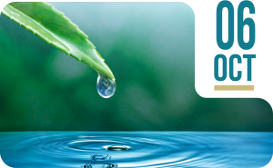 1º sábado de octubre. Día Interamericano del agua