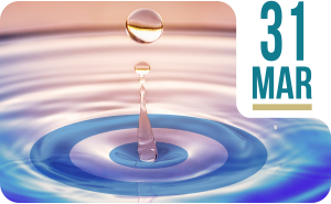 31 de marzo. Día Nacional del Agua