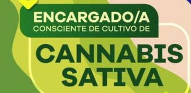 DGE lanzó carrera para encargado de cultivo de cannabis Sativa