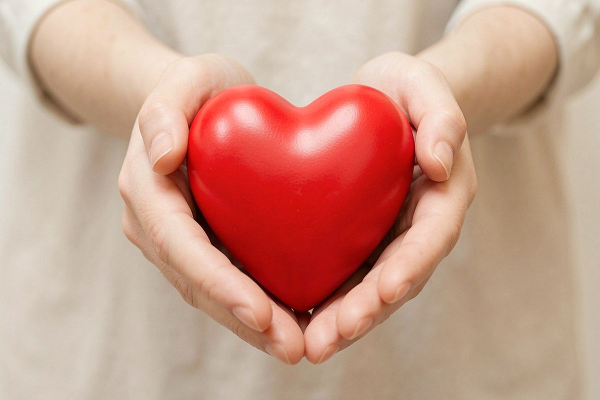 corazón entre manos