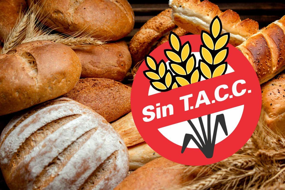 placa TACC panes logo