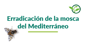 logo erradicacion mosca del mediterraneo