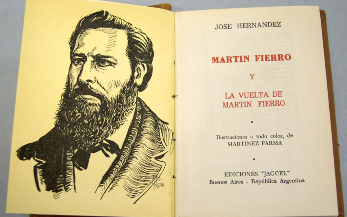 libro Martín Fierro