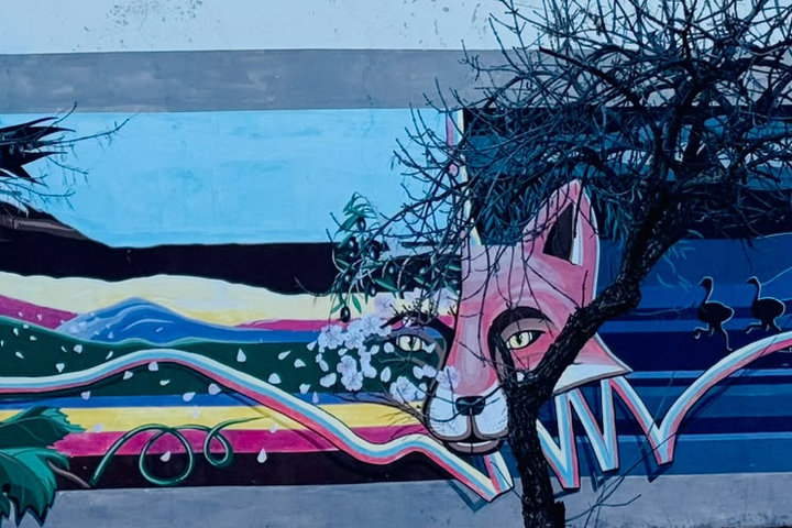 murales
