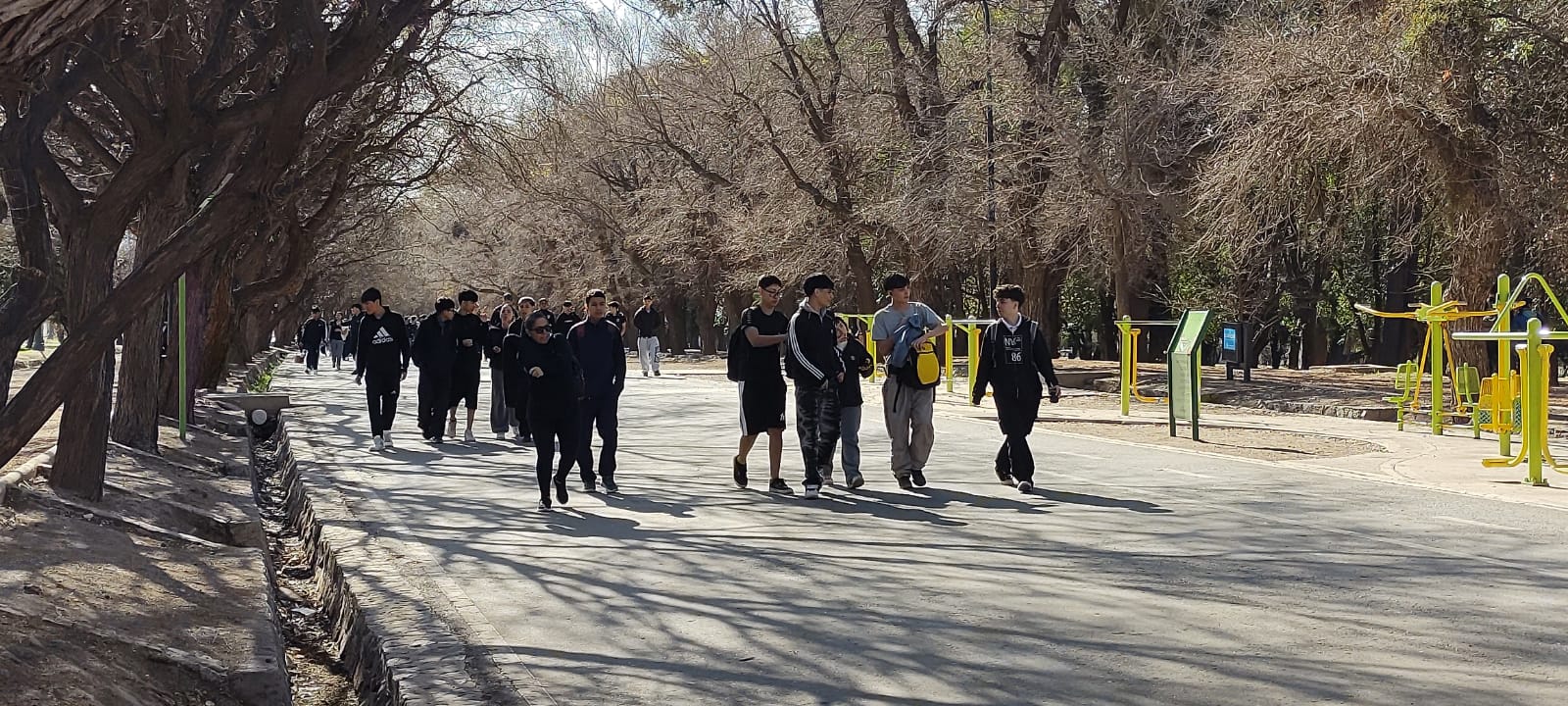 escuela-Nieves-del-Aconcagua-realizo-la-segunda-edicion-de-la-caminata-saludable-Andando-Juntos