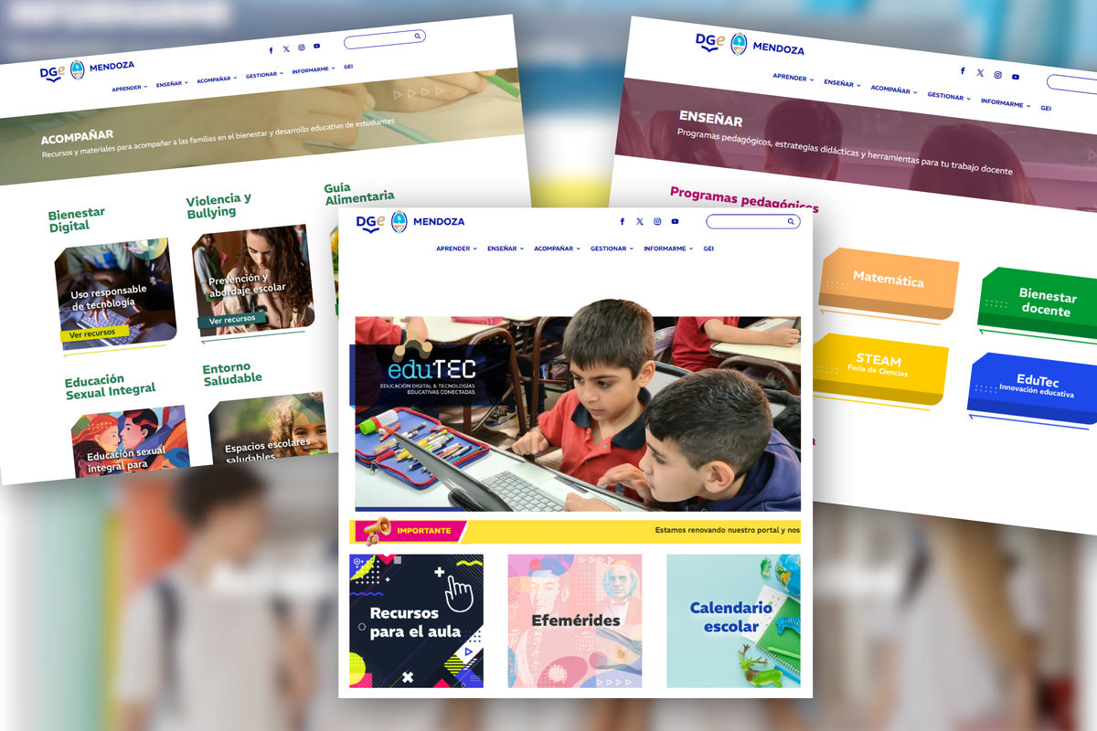 renovacion portal