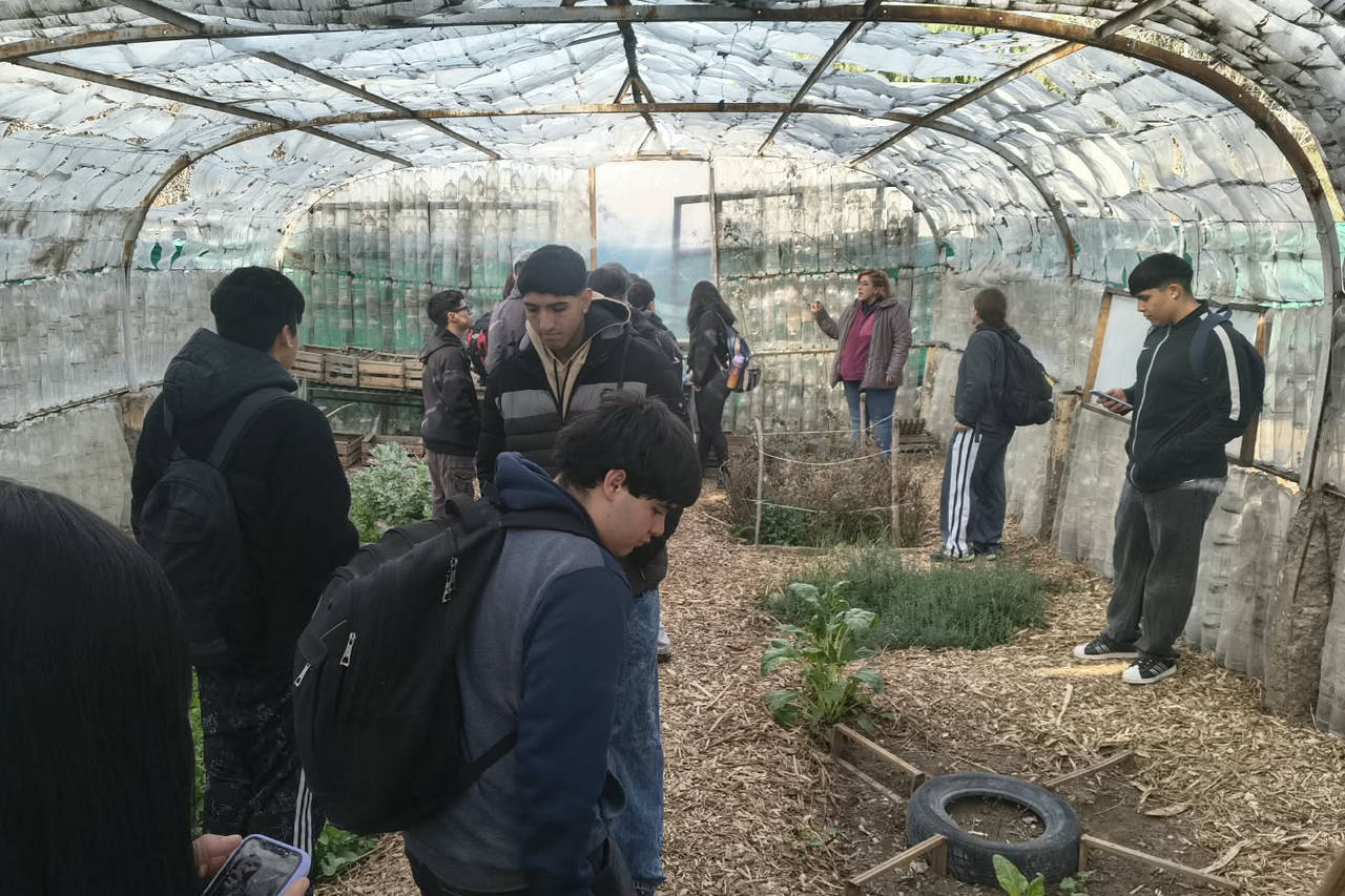 articulación entre las escuelas Pouget y Cervera